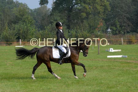 ZVS_7072
