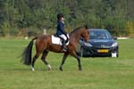 ZVS_7052