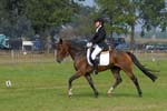 ZVS_7058
