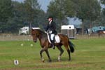 ZVS_7068