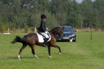 ZVS_7070
