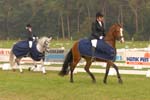 ZVS_8078
