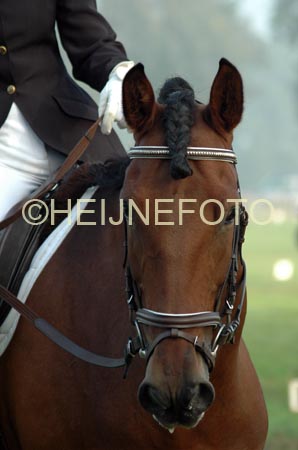 ZVS DSC_1465