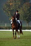 ZVS DSC_1457