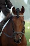 ZVS DSC_1465