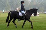 ZVS_6041