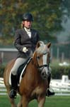 ZVS 6288 DSC_1531