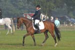 ZVS_6252