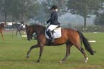 ZVS_6257