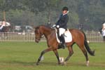 ZVS_6268