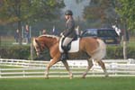 ZVS_6283