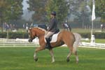 ZVS_6289