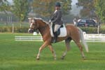 ZVS_6294