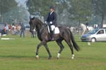 ZVS_6306