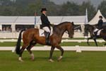 ZVS_6507