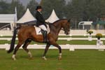 ZVS_6508