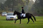 ZVS_6515