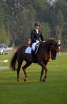 ZVS_6532