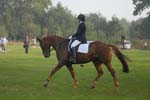 ZVS_6535