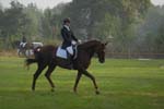 ZVS_6537