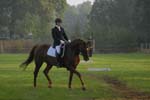 ZVS_6538