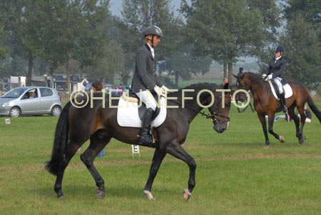 ZVS_6884