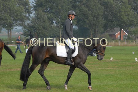 ZVS_6885