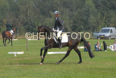 ZVS_6893