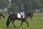 ZVS_6885