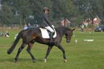 ZVS_6888