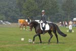 ZVS_6892