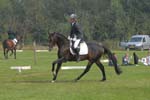 ZVS_6893