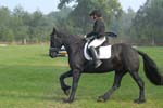 ZVS_6911
