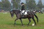 ZVS_6914