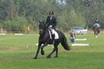 ZVS_6921