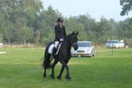 ZVS_6923
