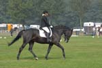 ZVS_6925