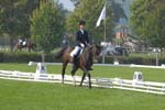 ZVS_6930