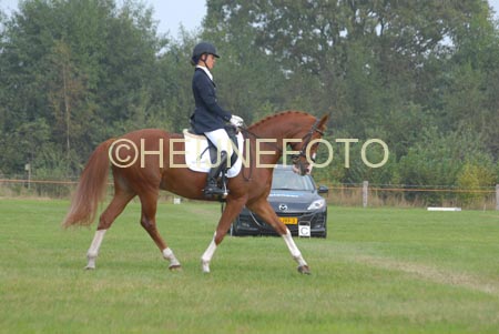 ZVS_7444