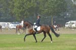 ZVS_7428