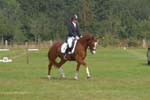 ZVS_7429