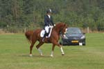 ZVS_7430