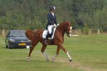 ZVS_7431