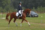 ZVS_7434