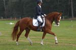 ZVS_7436