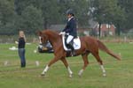ZVS_7456