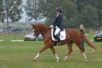 ZVS_7457