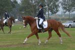 ZVS_7458