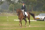 ZVS_7465