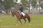 ZVS_7466